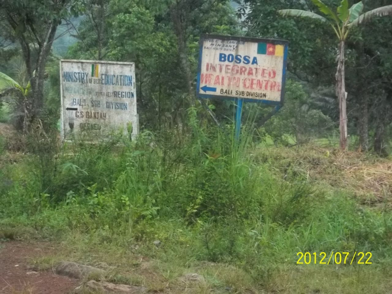 bossa1